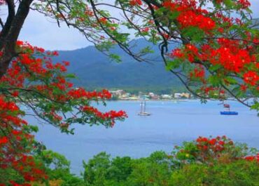 Dominica Citizenship by Investment (Economic Citizenship)